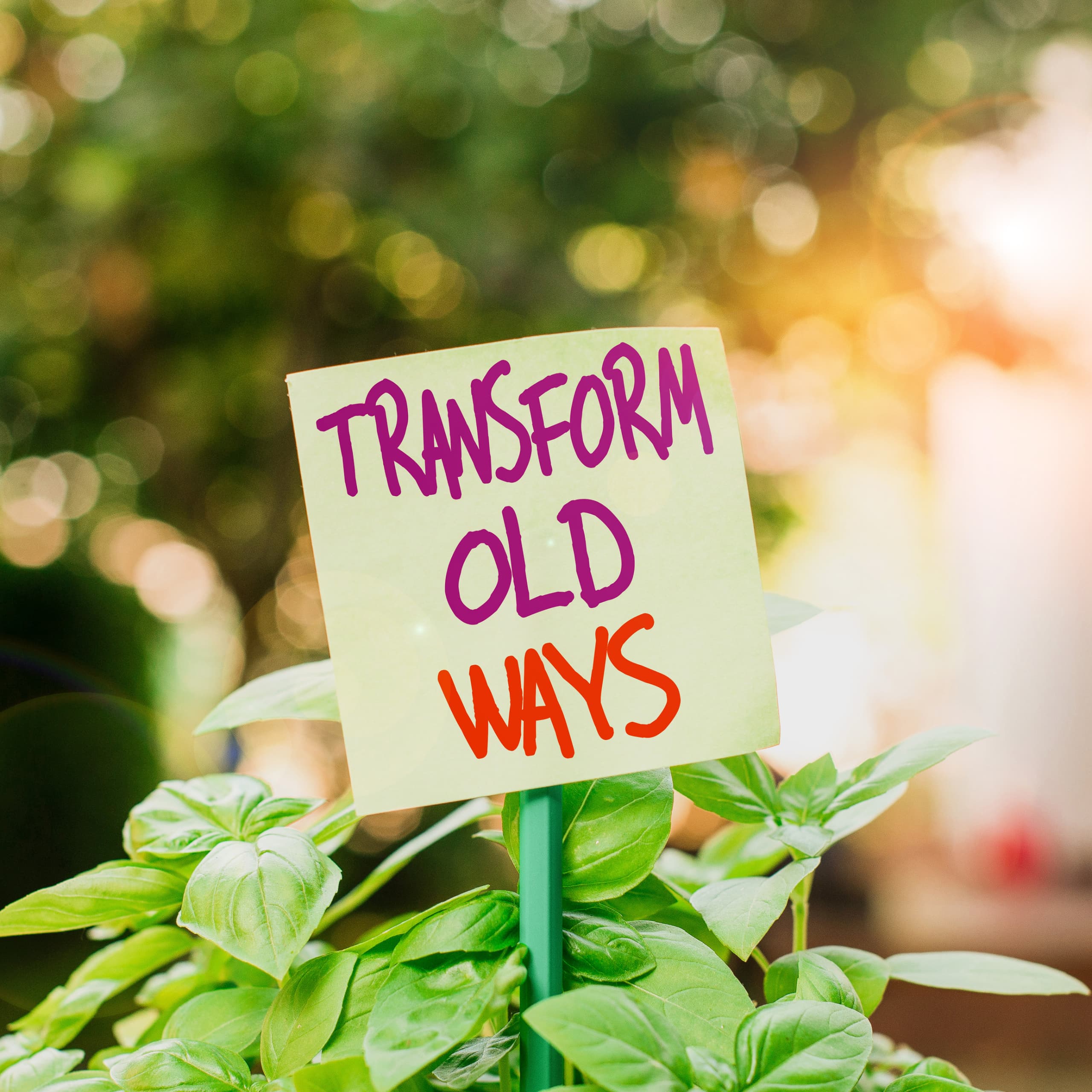 Life coaching support for clarity, direction, confidence, and personal growth
